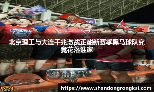 bwin官方北京理工与大连千兆激战正酣新赛季黑马球队究竟花落谁家